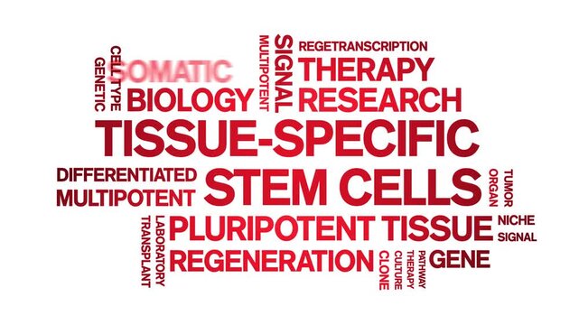 tissue-specific stem cells animated word cloud-text design animation tag kinetic typography seamless loop.
