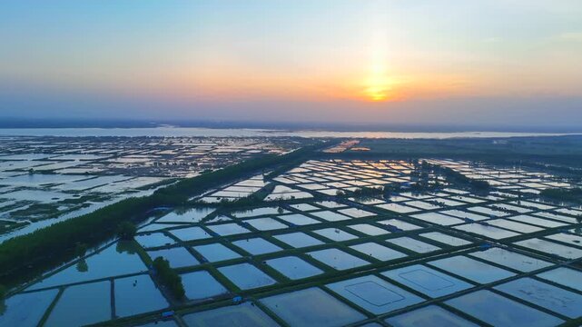 Aquaculture Ponds in Wetland Landscape at Sunset