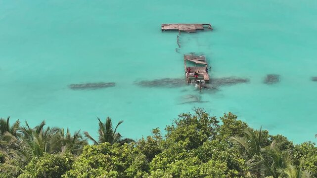 Aerial view of a broken wooden pier in turquoise water with people standing on it and lush green palm trees in the foreground Bileffahi, Shaviyani Atoll, Maldives.