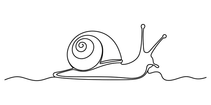 Continuous single line drawing of a cute garden snail