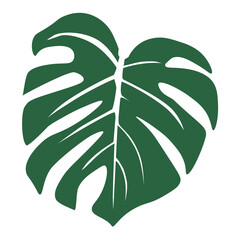 Monstera leaf silhouette, isolated on white background. Tropical leaf. Green monstera leaf. Vector illustration © viktorijareut