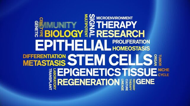 Epithelial Stem Cells animated word cloud-gross domestic product animation tag kinetic typography seamless loop.