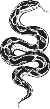 Vintage snake illustration, coiled black and white serpent vector, hand drawn reptile graphic for tattoo design and apparel printing
