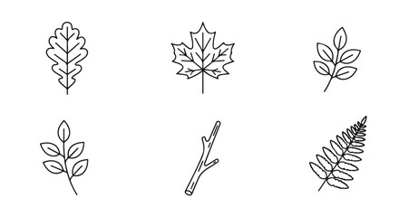 Minimalist leaf line icons set, botanical foliage vector elements, simple nature outline illustrations of maple oak and fern leaves © Asia