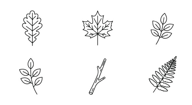 Minimalist leaf line icons set, botanical foliage vector elements, simple nature outline illustrations of maple oak and fern leaves