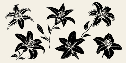 Lily flower silhouettes collection black and white floral design © Huraya