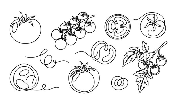 Creative one line tomato vegetable collection with editable outline stroke food vector illustrations