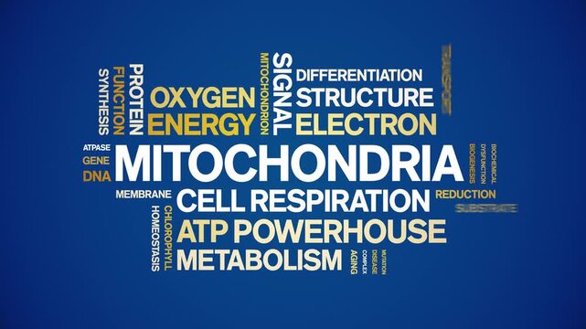 Mitochondria animated word cloud-gross domestic product animation tag kinetic typography seamless loop.