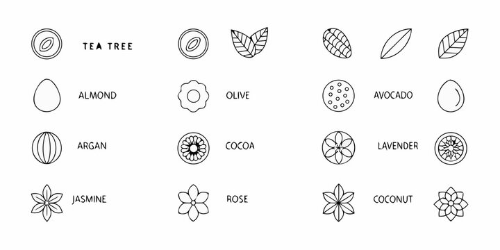 Natural ingredient icons line drawing set on white background
