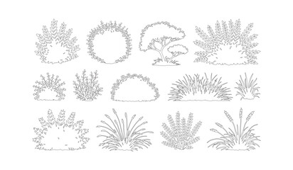 Obraz premium Hand drawn architectural vegetation set, minimalist outline trees and bushes vector, black and white landscape plant sketches for site plans