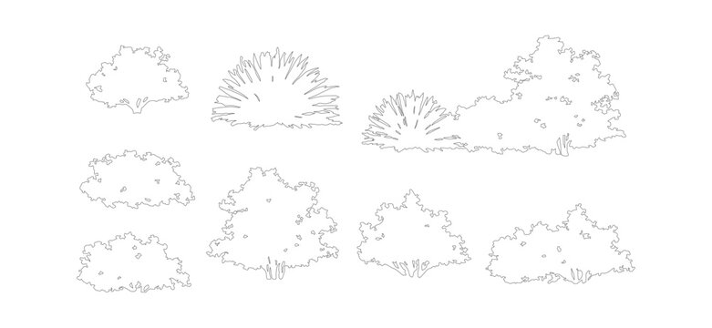Hand drawn architectural vegetation set, minimalist outline trees and bushes vector, black and white landscape plant sketches for site plans