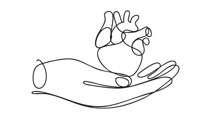 Obraz premium Anatomic heart held in human hand continuous line drawing for organ donation medical concept.