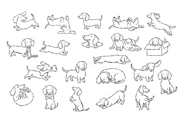 Dachshund dog puppy line drawing sketch illustration pet cute dachshund poses simple line drawing style, playful puppy actions, sitting, sleeping © narak0rn