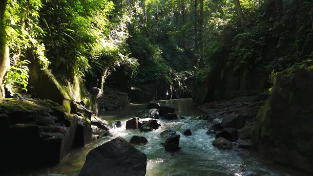 Lush Tropical River in Tukad Beng Canyon near Kanto Lampo Waterfall, Bali