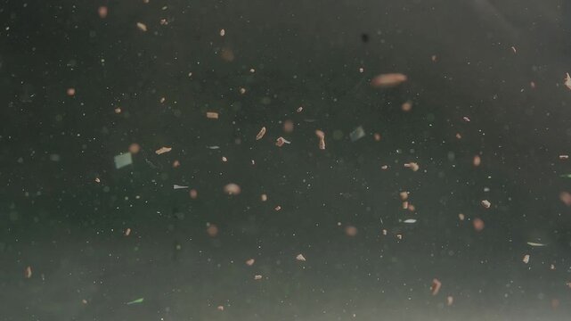 Close-up of microplastic particles moving in water, water pollution and environmental issue