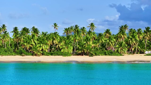 Turquoise water and tall palm trees on a tropical sandy beach. A sunny day on the picturesque Caribbean coast. Golden sand, beautiful beach, coconut palms. Turquoise sea and a landscape of palm trees.