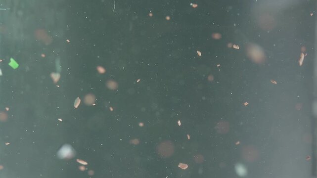 Close-up of tiny microplastic particles moving in water, hidden water pollution and environmental issue