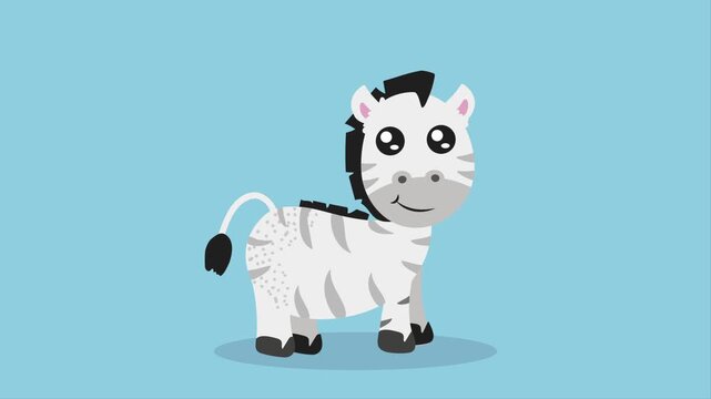 Cute little baby zebra standing on a blue background looking at camera and smiling in a seamless loop animation.