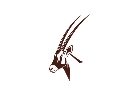 Minimalist gemsbok oryx head vector illustration on white background