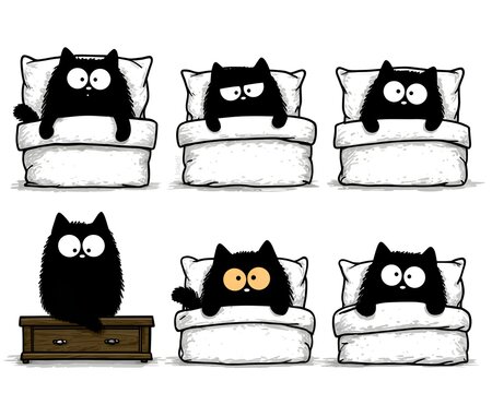 Six cartoon black cats, each expressing different emotions while resting in bed or on a drawer, over white background, are drawn in cute style.