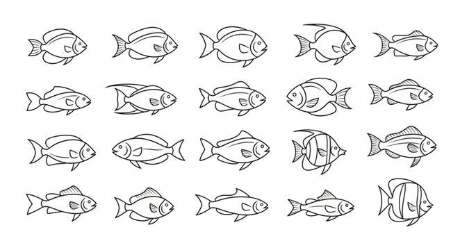 Variety of Different Fish Species.