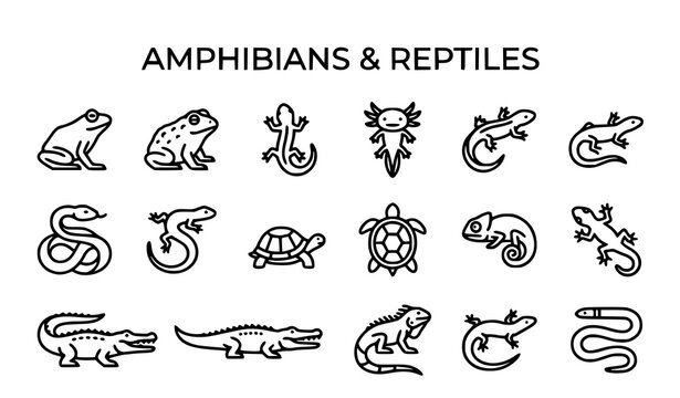 Amphibian reptile icon set black and white frogs zoo vector collection