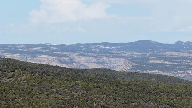 Aerial in Mesa Colorado of pinyon pine forest foreground and desert background of Book Cliffs