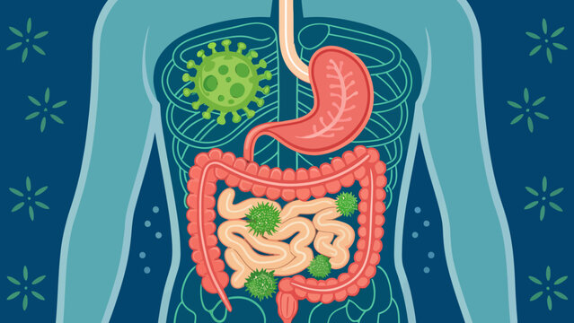 Human internal organs and digestive system with viral infections human body systems medical condition internal medicine intestines infection illustration digestion microbiology sickness
