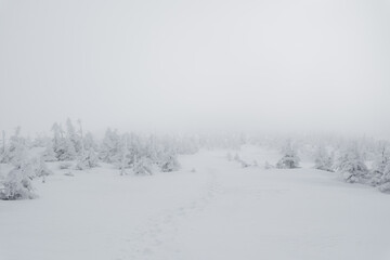 Fototapeta premium 冬山の風景