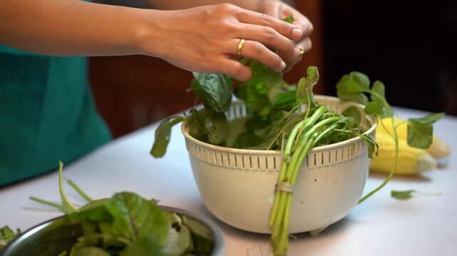Close Up of Hands Preparing Green Spinach for Traditional Vegetable Soup