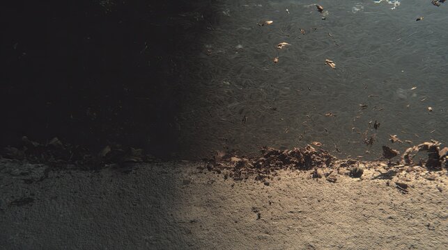Dark water with floating leaves and sediment slowly settling on the murky riverbed, creating a textured natural background for themes of aquatic life or environment