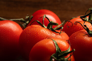 Red tomatoes on a vine with selective focus on one tomato in the middle. Fresh waterdrops reflecting the highlights. © ReLein