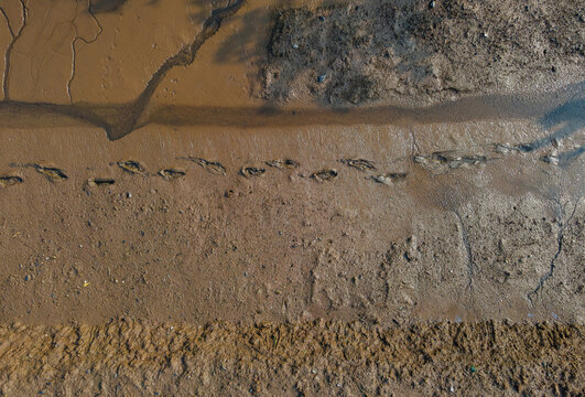 Footsteps on Muddy Ground, Human Activity Texture from Above 