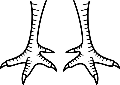Black and white outline of bird feet with sharp claws, isolated white talons