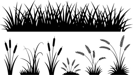 Black silhouette collection of grasses, reeds, and wheat stalks white background © simplevector