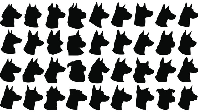 Dog heads rendered in black silhouettes display various ear shapes and snout profiles, creating a detailed reference sheet for canine anatomy and breed characteristics in professional graphic design.