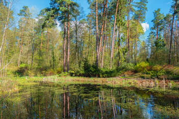  Wiosna na Warmii. © Janusz Lipiński