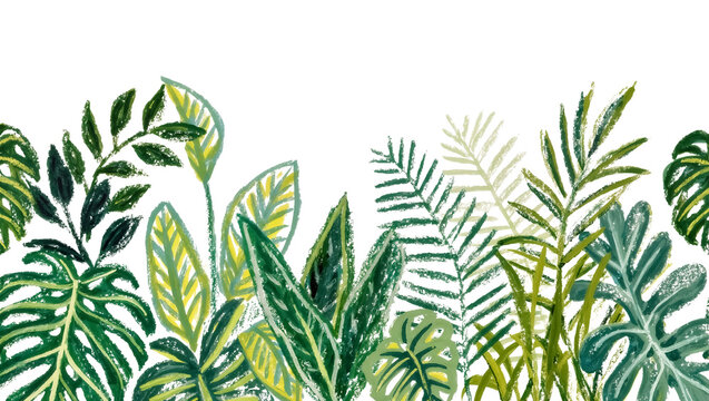 Assorted green tropical foliage with varied leaf shapes, isolated on transparent background