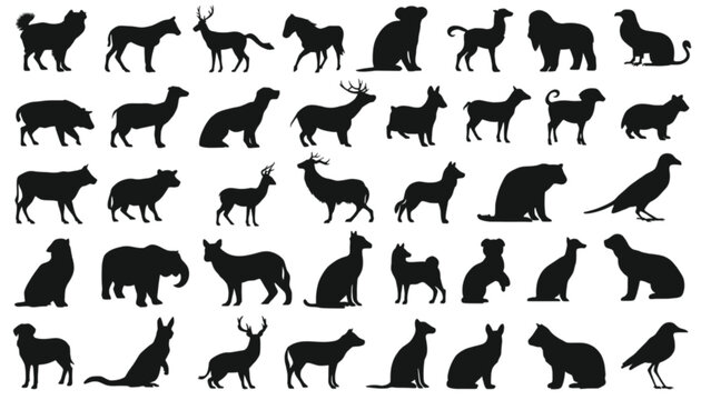 Mammals represented by a diverse set of black silhouettes showcasing various canine, feline, and wild species organized in rows for clear identification on a clean white surface.