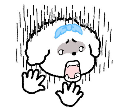 안돼
