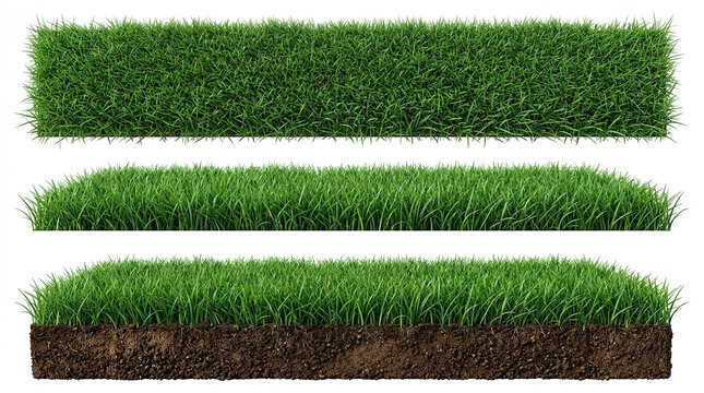Three isolated cross sections of lush green grass lawn patches featuring varying soil depths