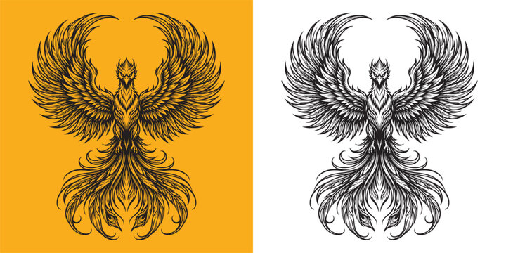 Majestic Phoenix Rising Line Art Illustration with Spreading Wings and Ornamental Feathers