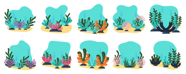 Underwater coral reef elements © Patricia Agatha