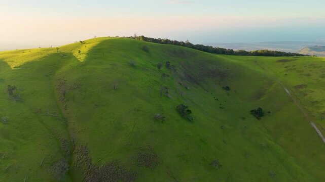 Aerial view of the vibrant green slopes and rolling hills of Puu Waawaa cinder cone during golden hour in Hawaii County, Hawaii, United States.