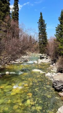 Mountain river in Ala-Archa gorge with mountain background spring landscape Kyrgyzstan

