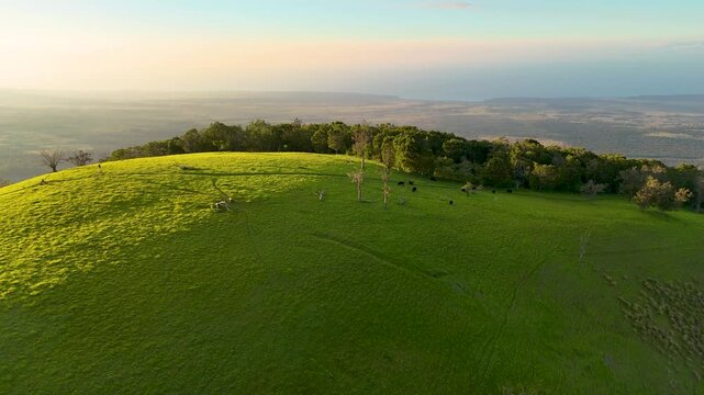 Aerial view of Puu Waawaa cinder cone featuring lush green slopes and scattered trees under a soft golden hour light in Hawaii County, Hawaii, United States.