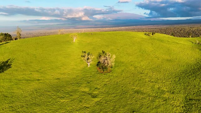 Aerial view of Puu Waawaa cinder cone with vibrant green grass and scattered trees under a cloudy sky in Hawaii County, Hawaii, United States.