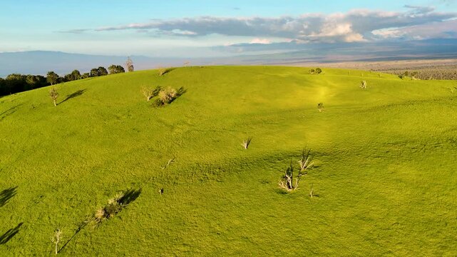 Aerial view of the Puu Waawaa cinder cone with lush green pastures and scattered trees under a soft sky in Hawaii County, Hawaii, United States.