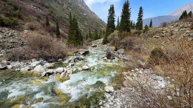 Mountain river in Ala-Archa gorge with mountain background spring landscape Kyrgyzstan

