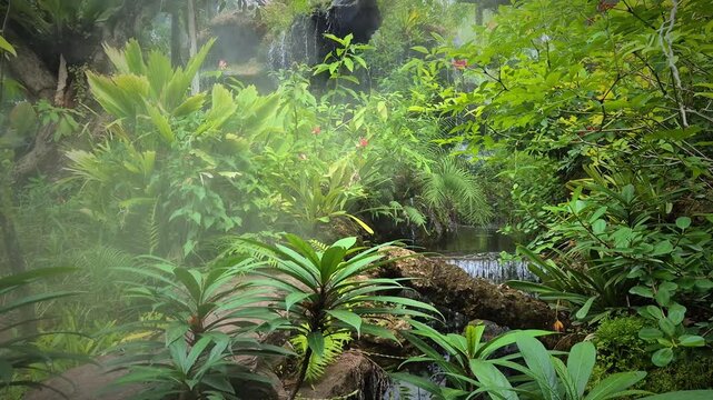 A waterfall in a garden surrounded by lush trees and vegetation, creating a relaxing atmosphere.